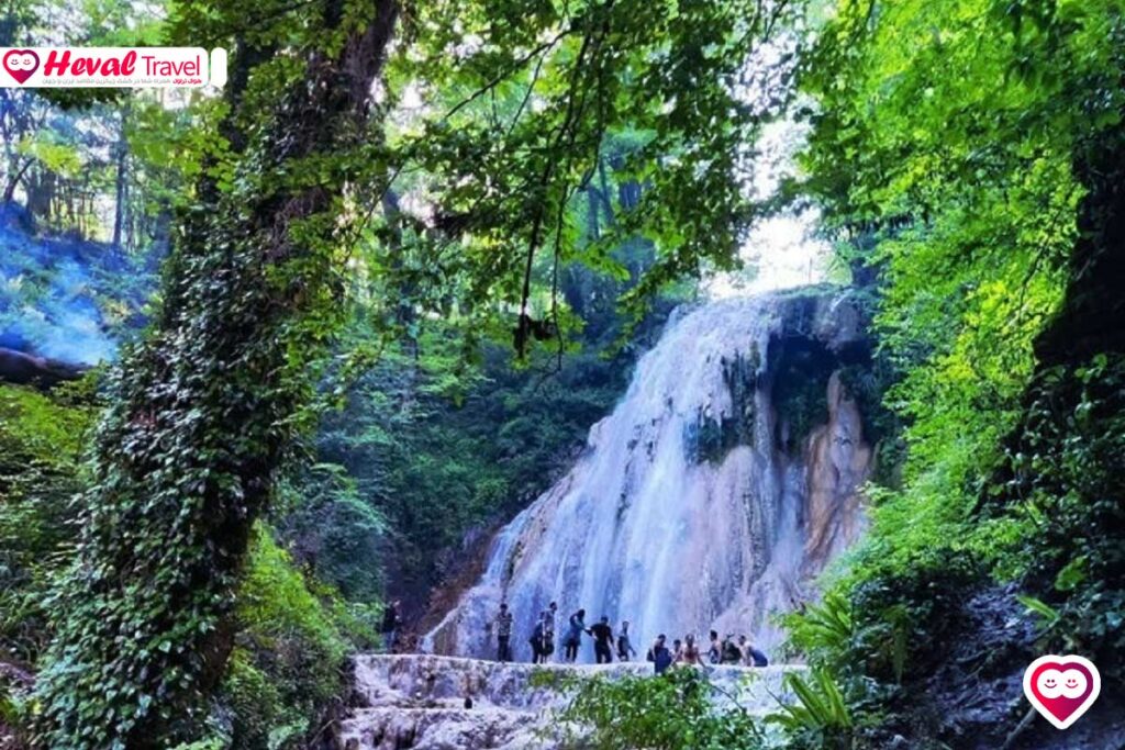 ایرانگردی جنگل های هیرکانی